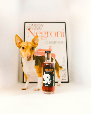 Negroni A2 cocktail print with a bottle of Negroni cocktail and a small dog placed in front of it