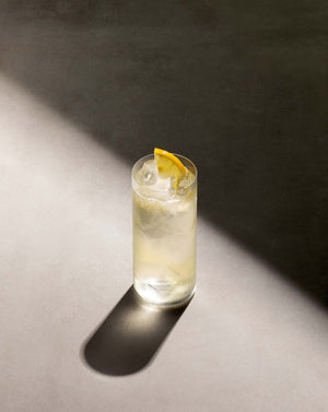 Elderflower Collins cocktail in a highball glass with cubed ice garnished with a lemon slice.
