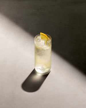 Elderflower Collins cocktail in a highball glass with cubed ice garnished with a lemon slice.